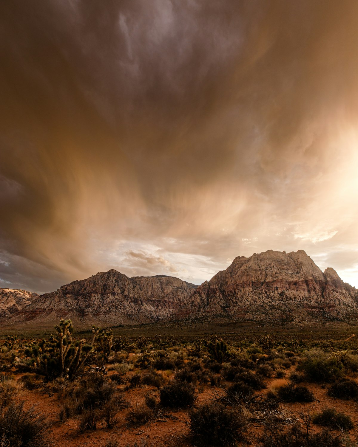 Montrose — Mesquite, NV