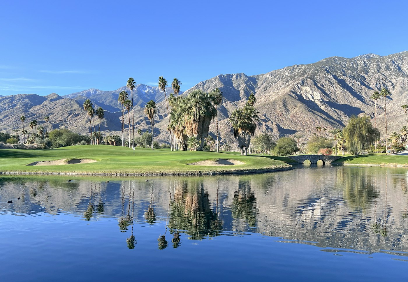 Conestoga Golf Club — golf in Mesquite, NV